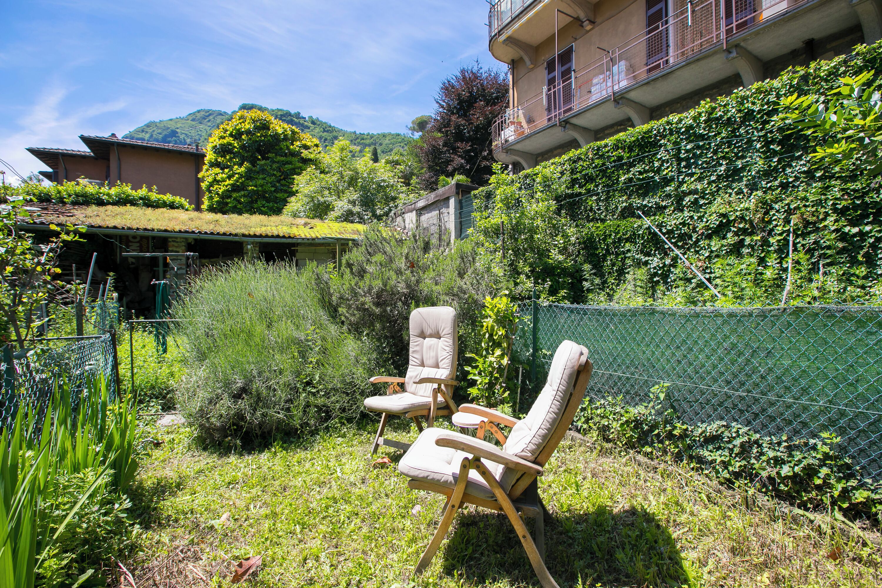A garden with two wooden chairs, a green fence, and a building with a balcony.
