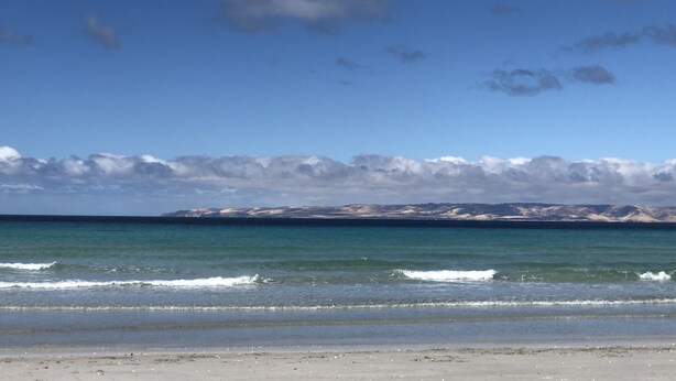 Ein Strand mit blauem Himmel und ruhigem Wasser.