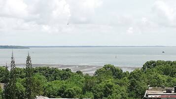 Beach/ocean view
