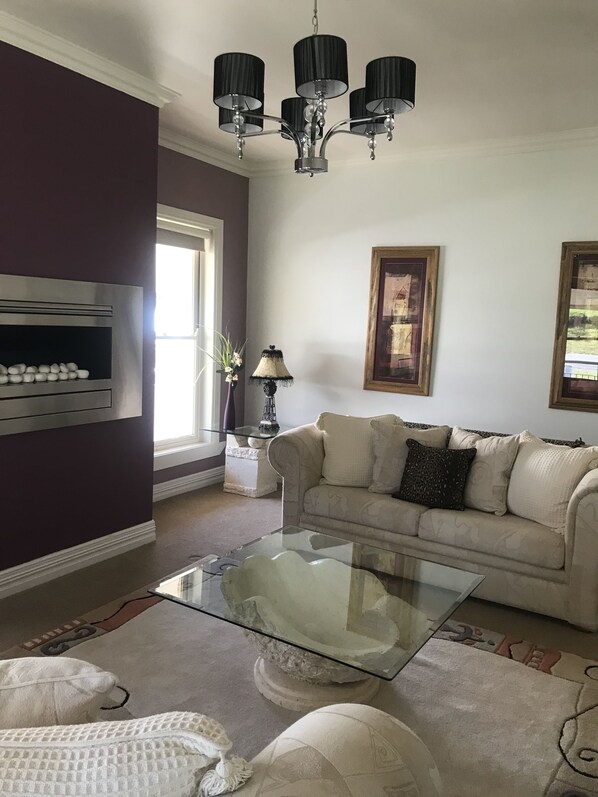 TV, fireplace, DVD player, books