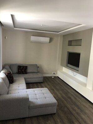 Fernseher