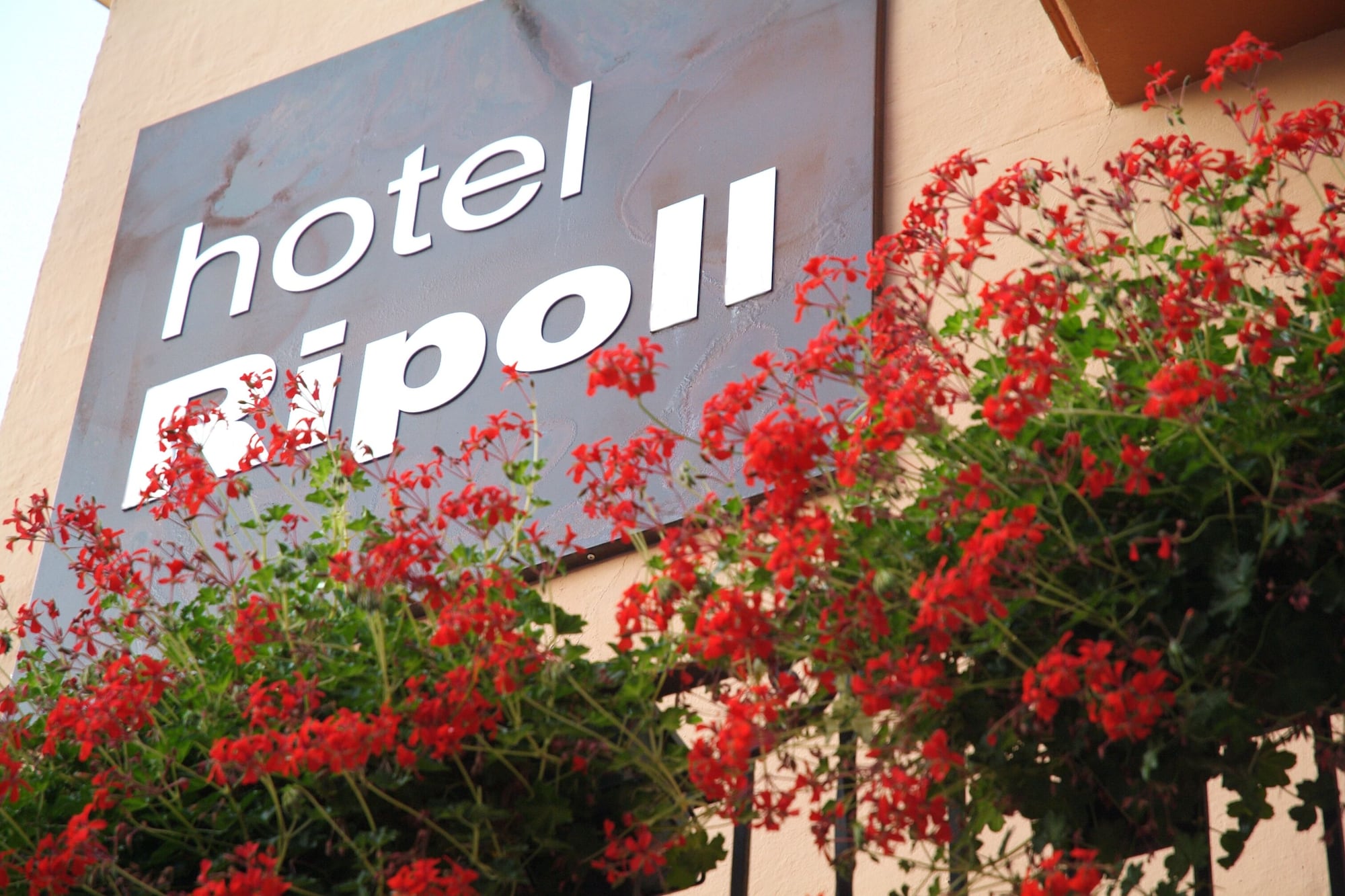 3 Star Hotels