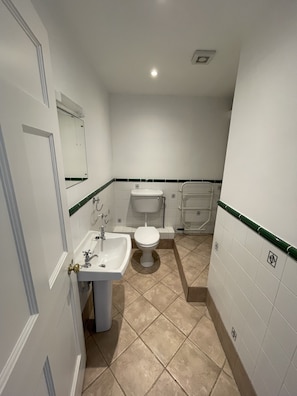 A bathroom with a sink, toilet, and mirror.