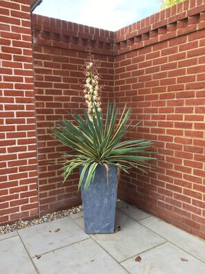 Apartment | Property grounds - Charming 1-bedroom Apartment Near South Downs (Hailsham)