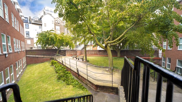 A courtyard with a tree, a pathway, and a brick building with multiple windows. - Wellington Apartments (Norwich)