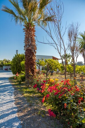 Property grounds - Villa Chrysalida, peaceful home with scenic views! (Skaleta)