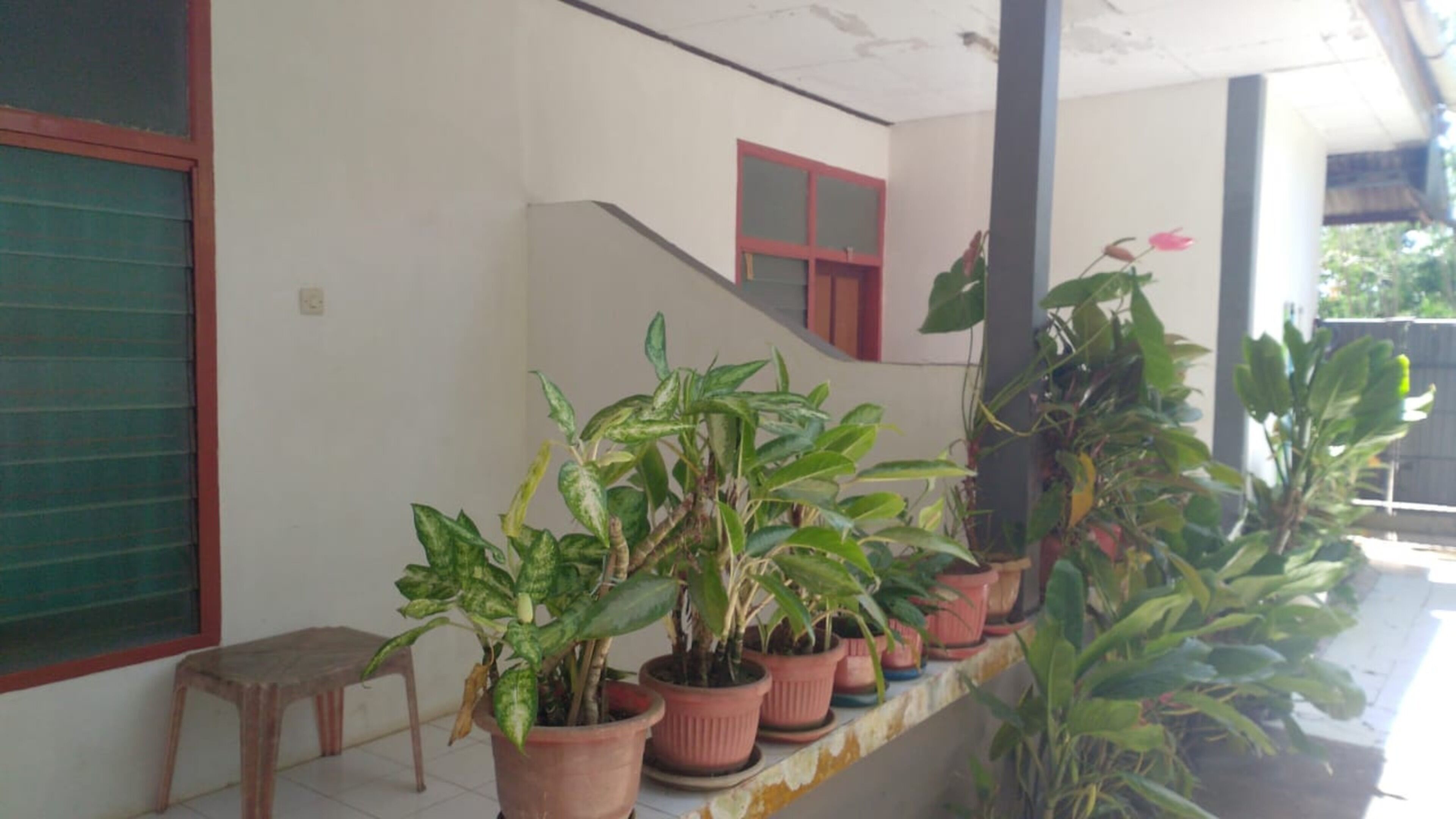 Varanda coberta com plantas em vasos, um banco de madeira e uma escada com porta vermelha.
