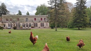 Un campo cubierto de césped con un edificio al fondo.