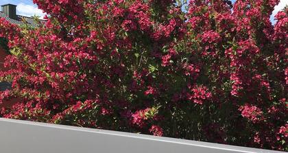 Charming holiday home with sauna and garden lounge