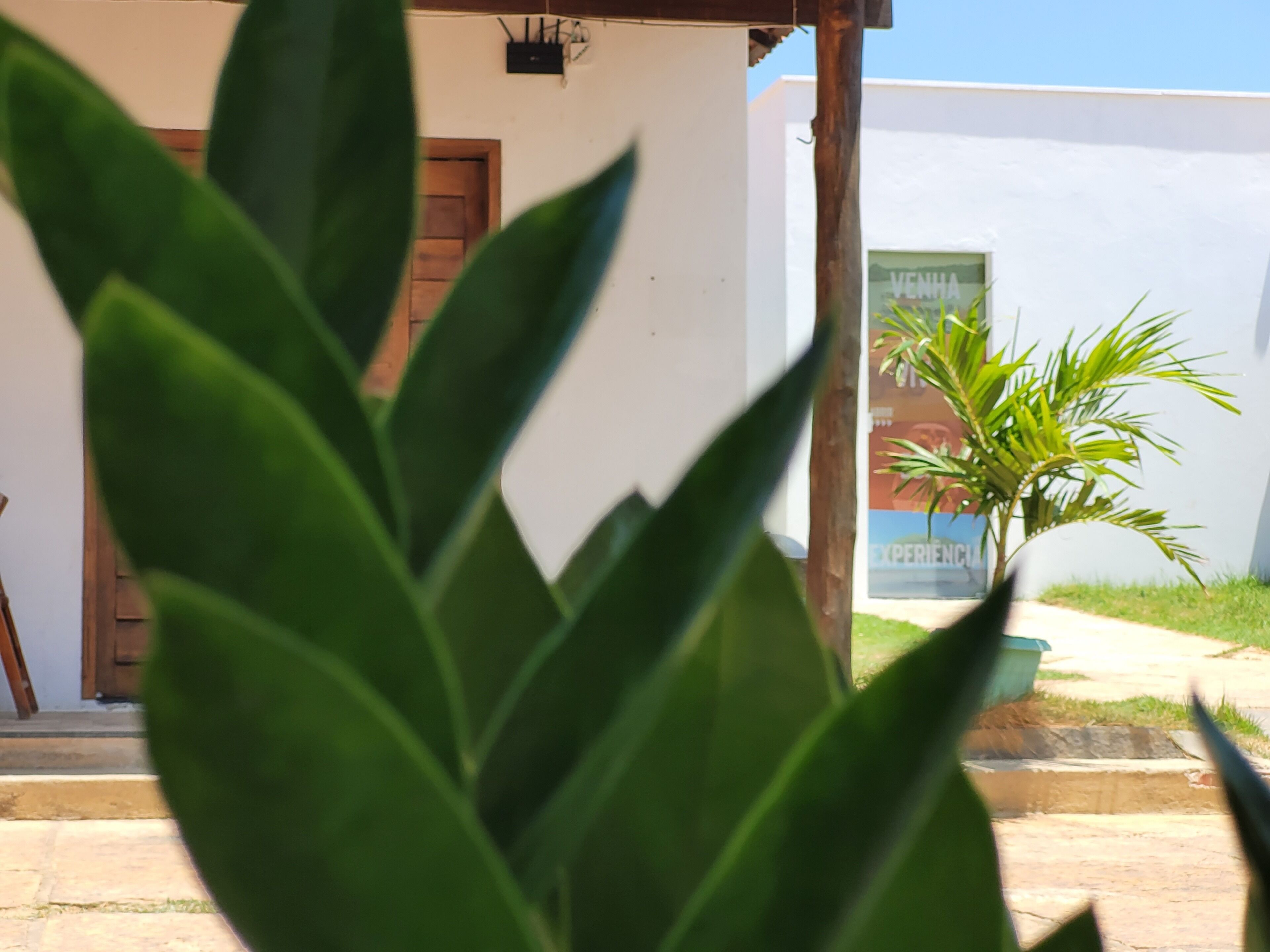 A building with a white exterior, a wooden door, and a small green plant in the foreground.