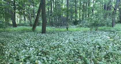 Holiday home with sauna and garden lounge