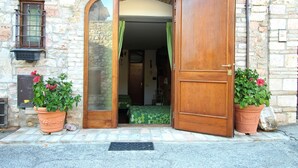 A stone building with a wooden door and two potted plants with flowers.