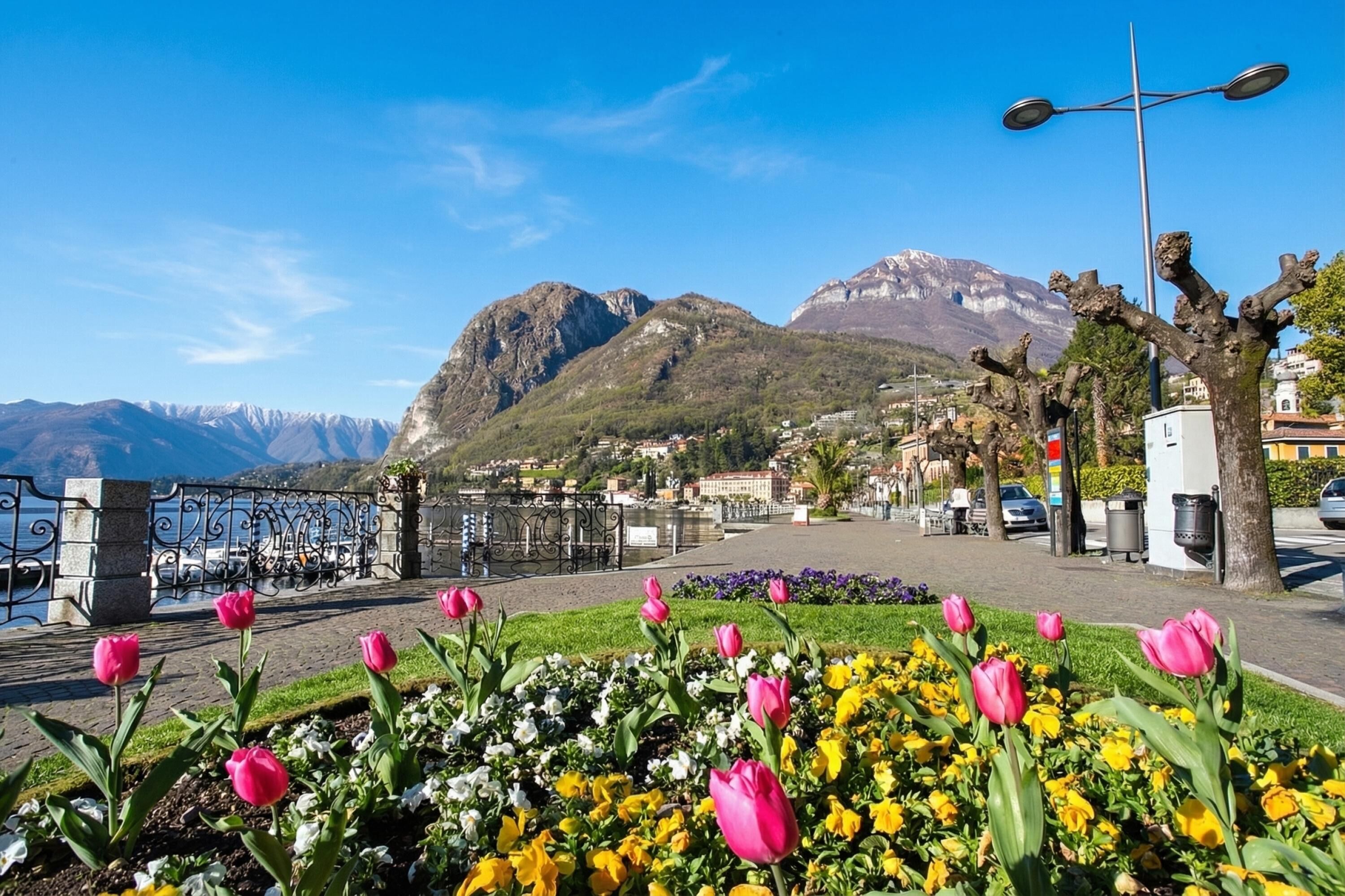 Un paseo marítimo con una fila de tulipanes rosados, una valla metálica y montañas al fondo.