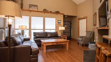 LED TV, fireplace, books