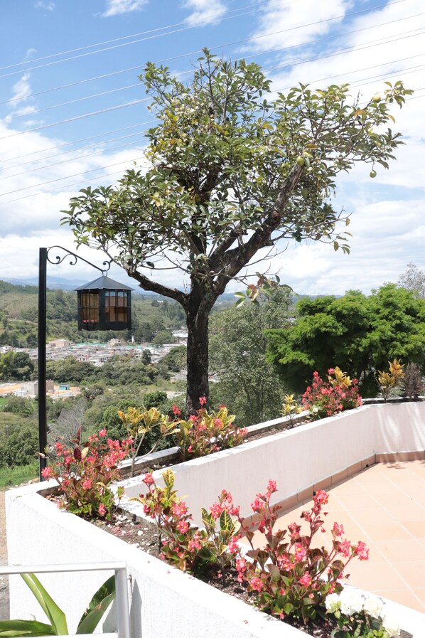 A tree with a hanging lantern, surrounded by pink flowers and a view of a cityscape.