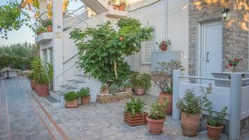 Vista desde la habitación