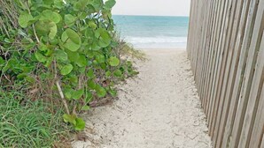 Un sendero arenoso con una cerca de madera a un lado y densa vegetación verde al otro.