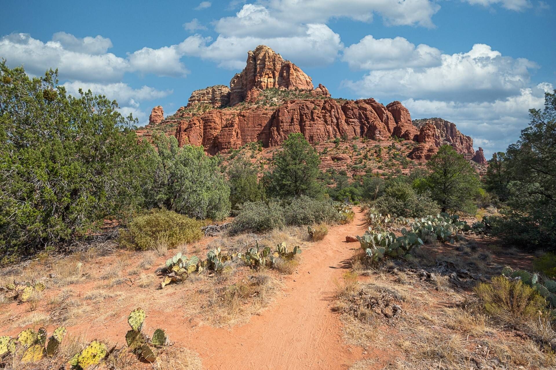 A rugged terrain with a prominent red rock formation and a dirt path leading towards it.