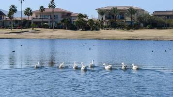 Vista desde la propiedad