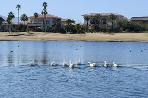 Vue depuis l’hébergement