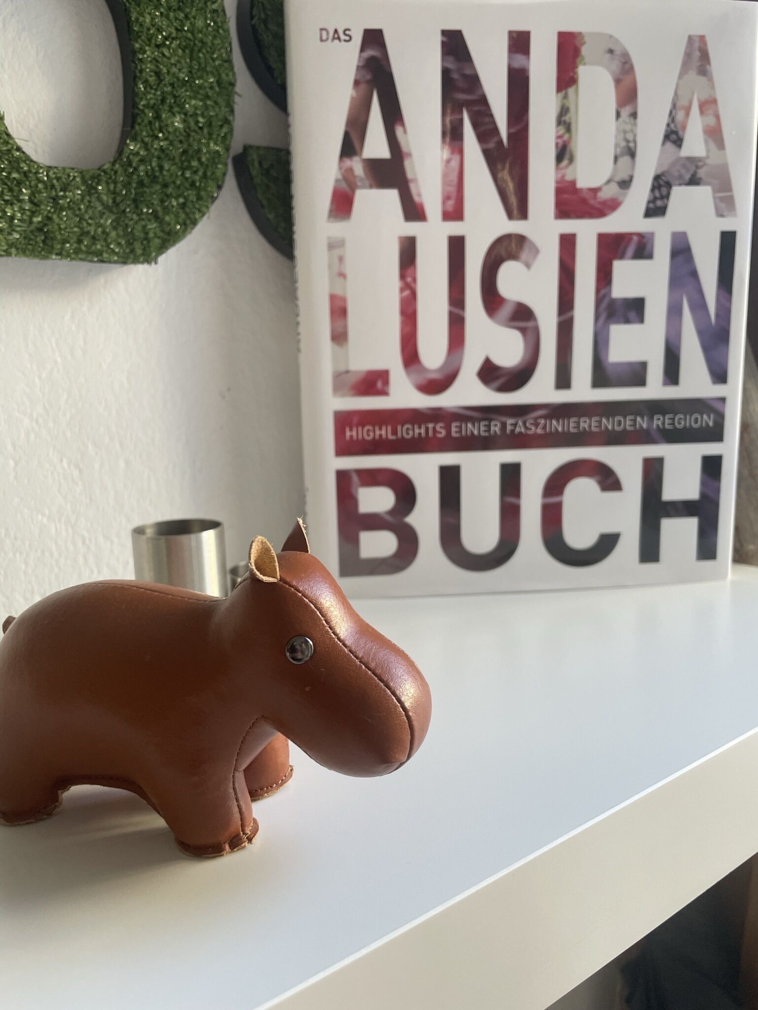 A book titled 'Das ANDA LUSIEN BUCH' on a white shelf.