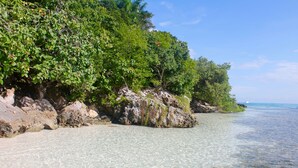 Uma praia com águas cristalinas e pouco profundas, afloramentos rochosos e vegetação verde exuberante.