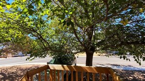 A wooden bench under a tree with a car parked nearby.