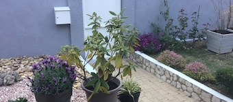 Air-conditioned, fully renovated duplex with private terrace