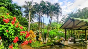 A covered outdoor area with seating, surrounded by lush greenery and palm trees. - Explore Paradise-Linda Vista cottage (Liberia)