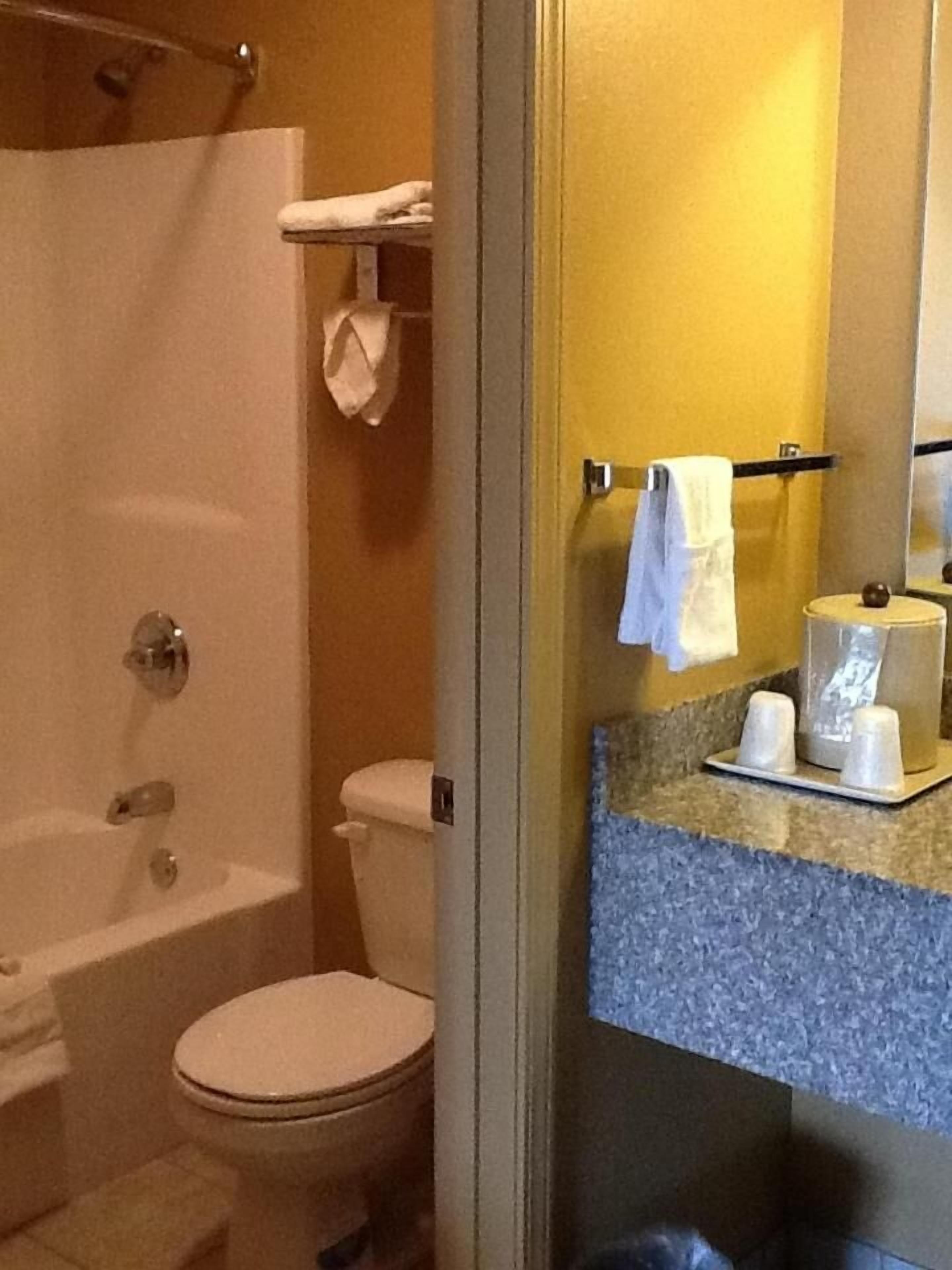 Une salle de bain avec une baignoire, des toilettes et un lavabo avec un miroir.