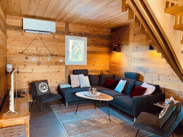 Smart TV, caminetto, lettore DVD, libri