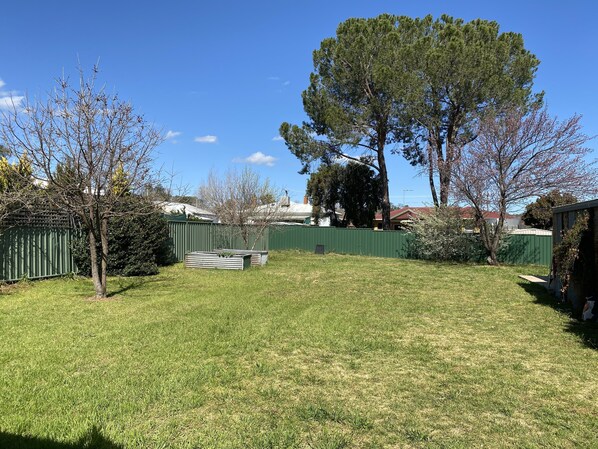 Un patio trasero con cerco verde, un árbol grande y un césped.