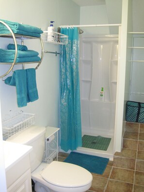 Hair dryer, towels, soap, shampoo