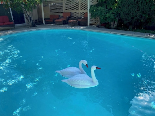 Hidden Oasis with pool and garden