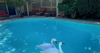 Hidden Oasis with pool and garden
