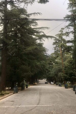A tree-lined street with parked cars and trash bins.