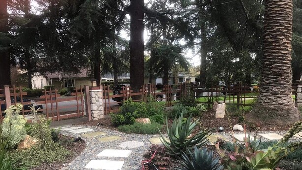 Un sendero en un jardín con piedras para pisar, rodeado de plantas diversas y una valla de madera.