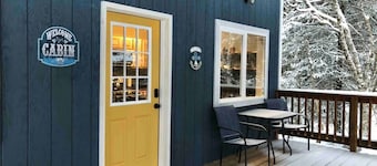 Cozy cabin built in 2020!