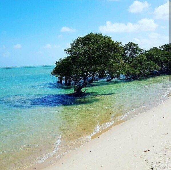 Beach nearby, sun loungers - Beach house with swimming pool and great location (Barra de São Miguel)