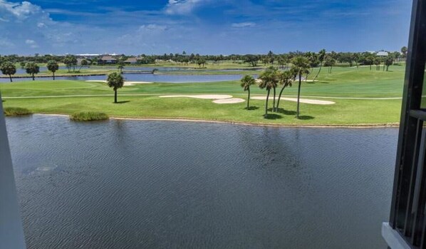 Golf - Intracoastal and Golf Views from the top floor (Stuart)