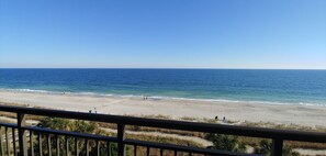 Plage, chaises longues