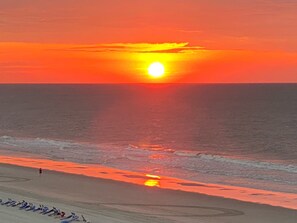 On the beach, sun loungers - Beautiful Clean Modern Direct Oceanfront Unit With Amazing Views (Myrtle Beach)
