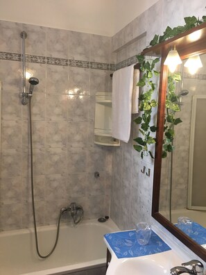 Hair dryer, towels, soap, shampoo