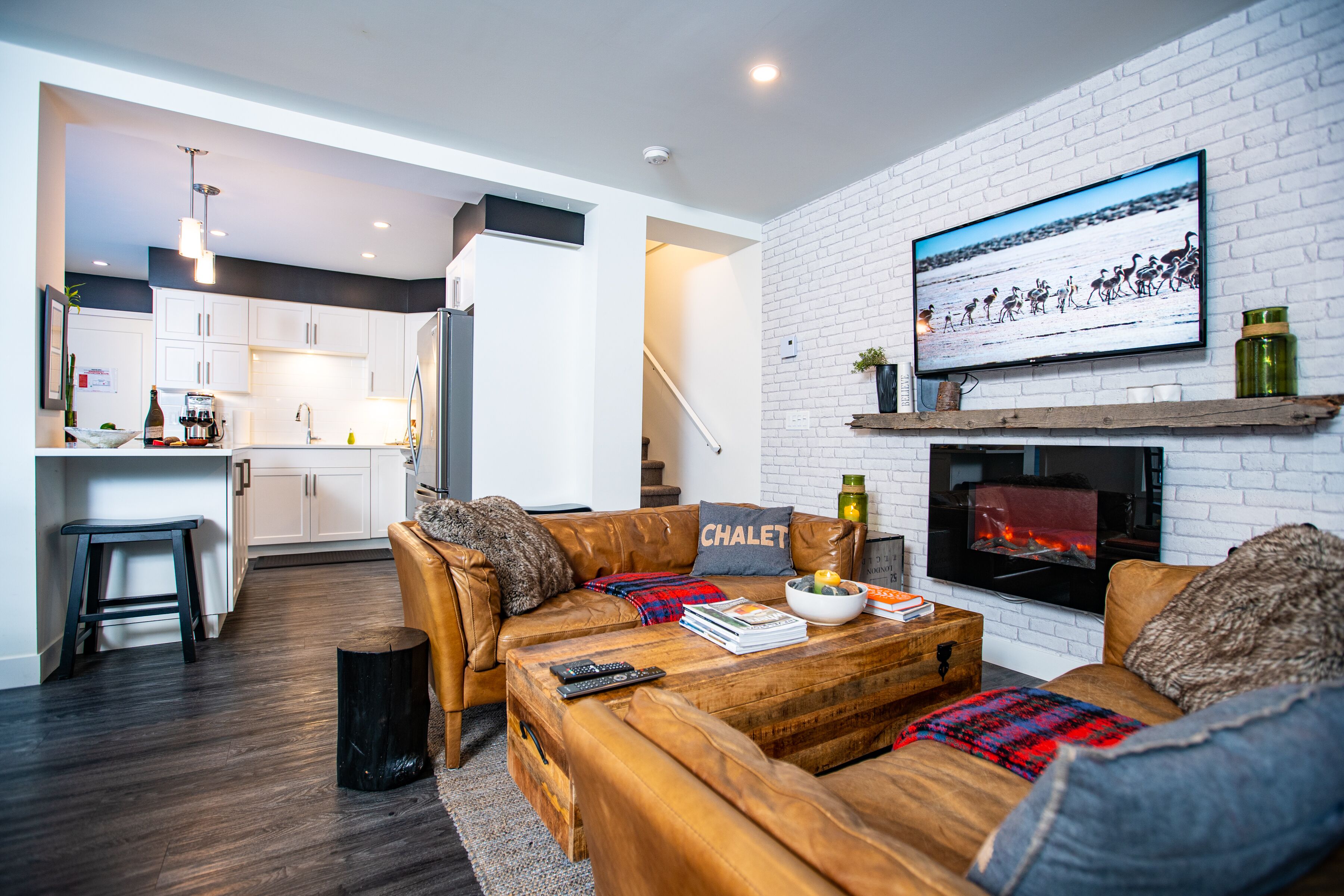 TV, fireplace, books, computer monitors