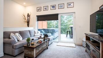 TV, fireplace, books, computer monitors