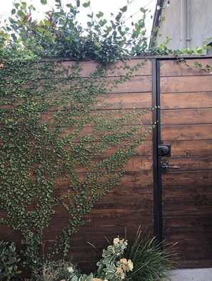 外观细节