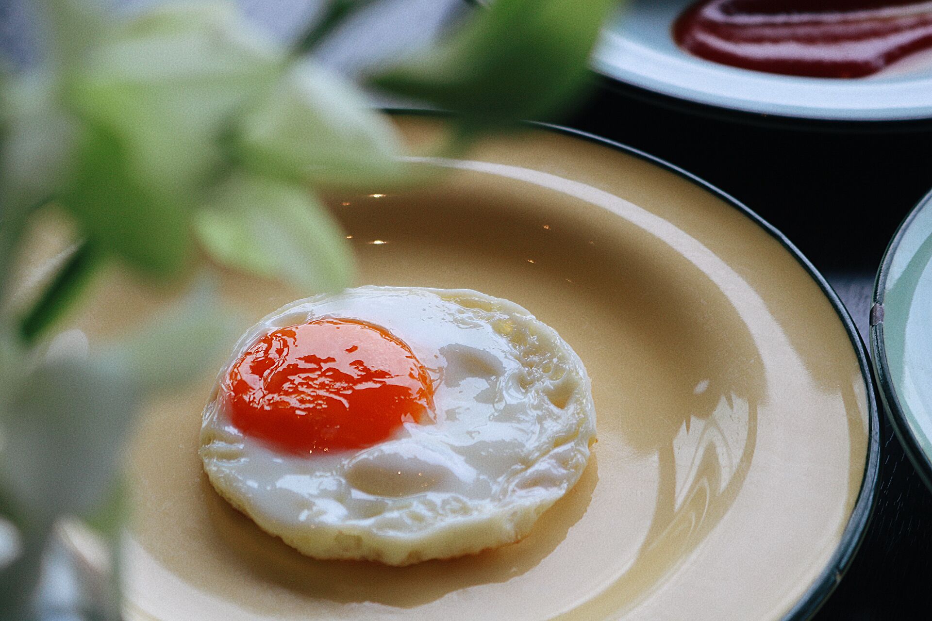 Un seul jaune d’œuf sur une assiette.