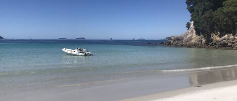 بالقرب من الشاطئ، كراسي للتشمس