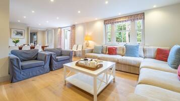 Télévision, cheminée, lecteur de DVD