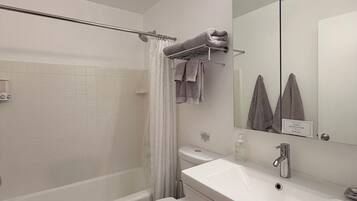 Combined shower/tub, hair dryer, towels, toilet paper